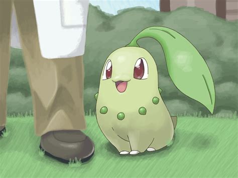 chikorita porn|Character: Chikorita .